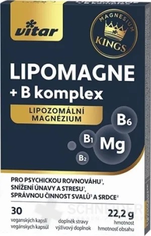 VITAR KINGS LIPOMAGNE + B-Komplex