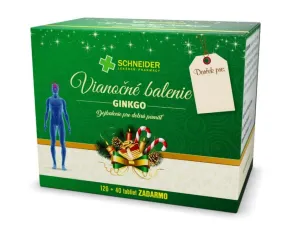 Weihnachtspaket Ginkgo 40 mg