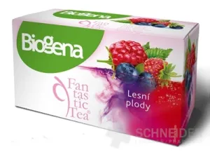Biogena Fantastic Tea Wildbeeren