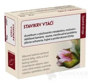 HANUS STAVIKRV SCHWIEGERVOGEL