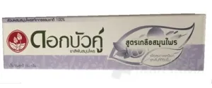 Twin Lotus Herbal PLUS SALZ
