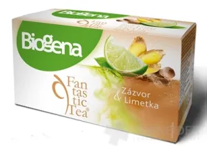 Biogena Fantastic Tea Ingwer &amp; Limette