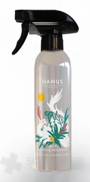 HANUS Nr.3 REINIGUNG DES RAUMS