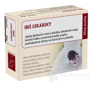 HANUS IBIŠ MEDIZINISCHE WURZEL