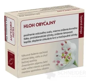 HANUS HAWLEY GEMEINSAME BLUME MIT BLATT