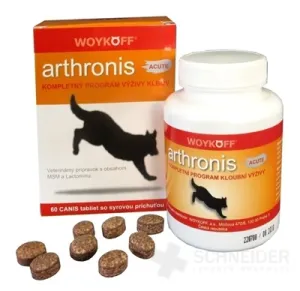 Arthronis Akut