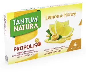 Nur Natur – Zitrone und Honig