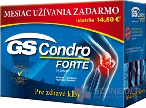 GS Condro FORTE