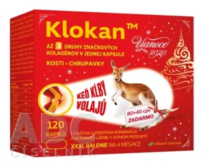 Känguru