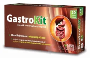 THEO HERBS GastroKit