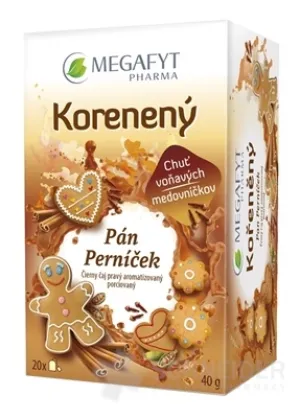 MEGAFYT Schwarzer Tee Spicy Mr. Gingerbread