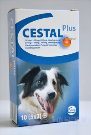 CESTAL PLUS-Geschmack 50 mg/144 mg/200 mg