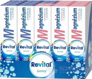 Revital Magnesium + B6 Brause-MIX-BOX