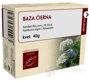 HANUS BAZA SCHWARZE BLUME