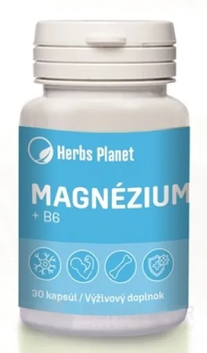 Herbs Planet MAGNESIUM + B6