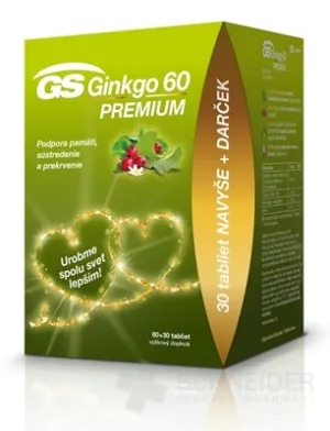 GS Ginkgo 60 PREMIUM Geschenk 2020