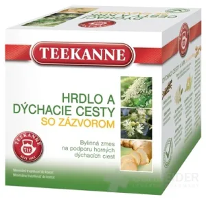 TEEKANNE BČ HALS UND ATEMWEGE mit Ingwer