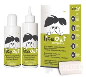 LiceOut abgeschlossen