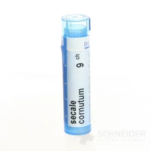 SECALE CORNUTUM