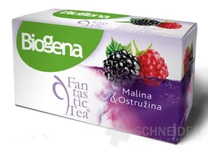 Biogena Fantastic Tea Himbeere &amp; Brombeere